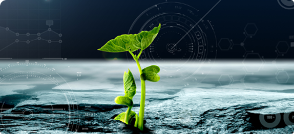 简析稳定性樱桃视频大全免费观看及应用技术